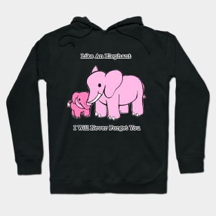 Like An Elephant I Will Never Forget You Hoodie